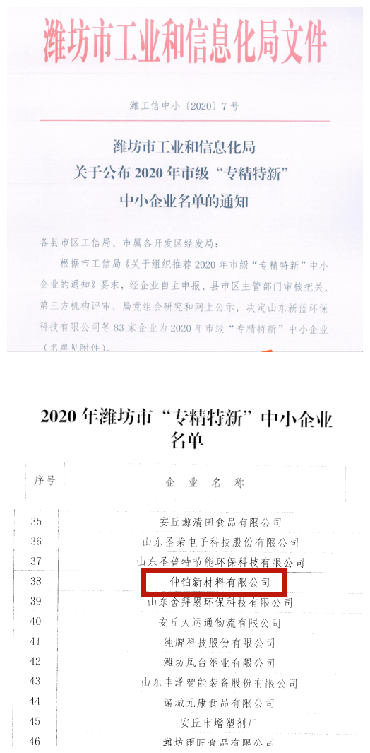 專(zhuān)精特新_副本.png